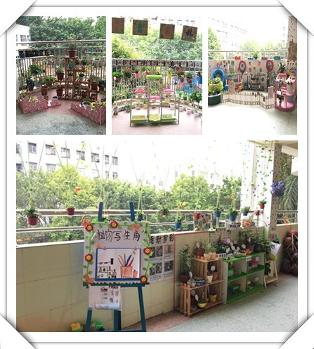 春暖花開(kāi)，綠樹(shù)成蔭——遠(yuǎn)恒佳公明第二幼兒園自然觀察角大比拼