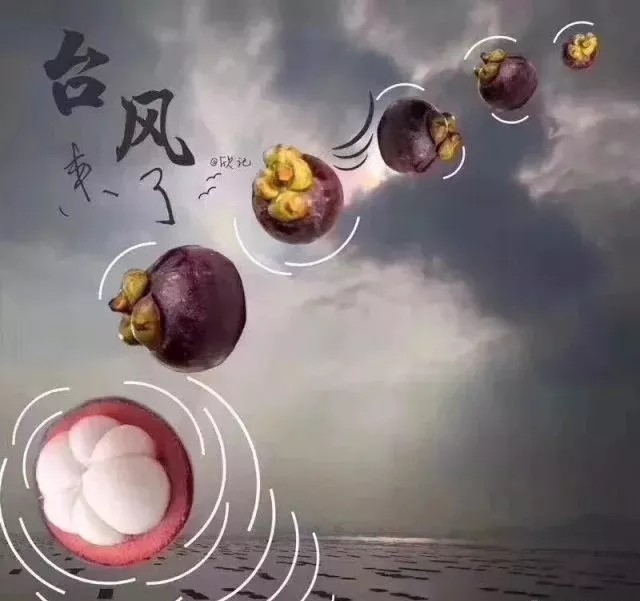 臺風(fēng)無情人有情，應(yīng)對臺風(fēng)“山竹”，我們團結(jié)一心。