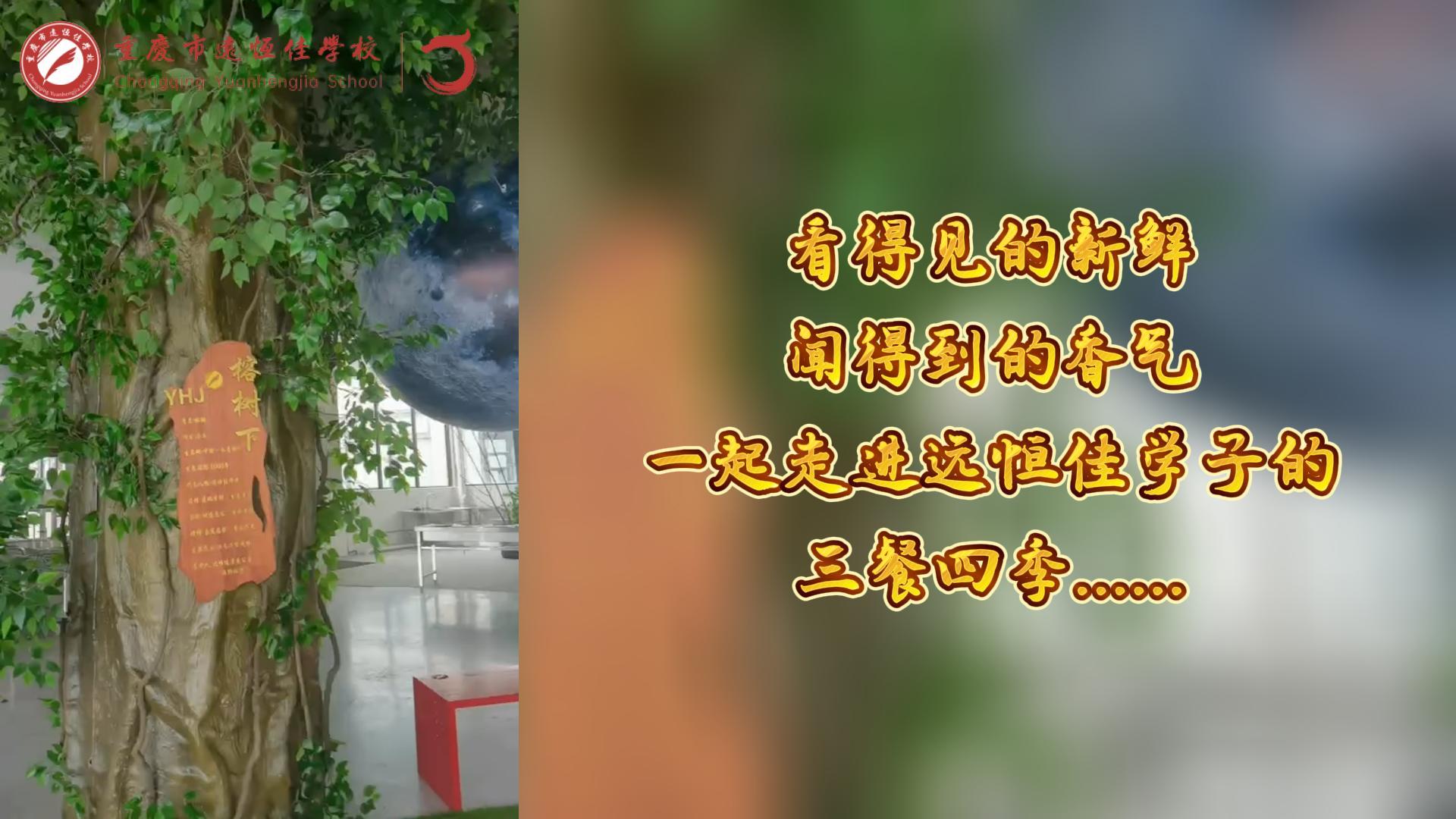 美好學(xué)校|看得見(jiàn)的新鮮，聞得到的香味，一起走進(jìn)遠(yuǎn)恒佳學(xué)子的三餐四季!